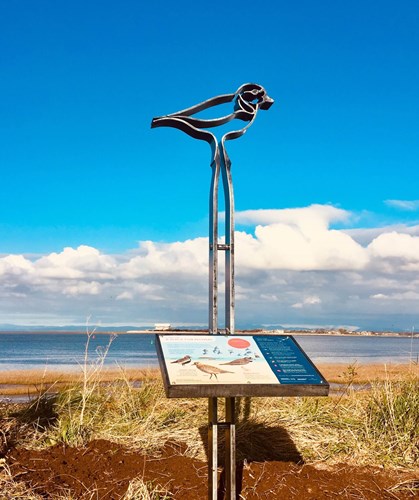 Plover Scar Bird Design Metal Sign