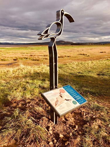Bolton Le Sands bird design metal sign