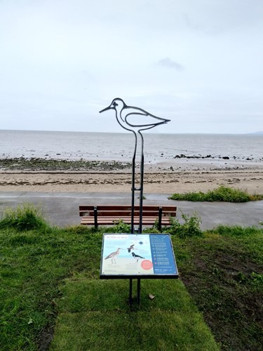 Half Moon Bay Bird Design Metal Sign